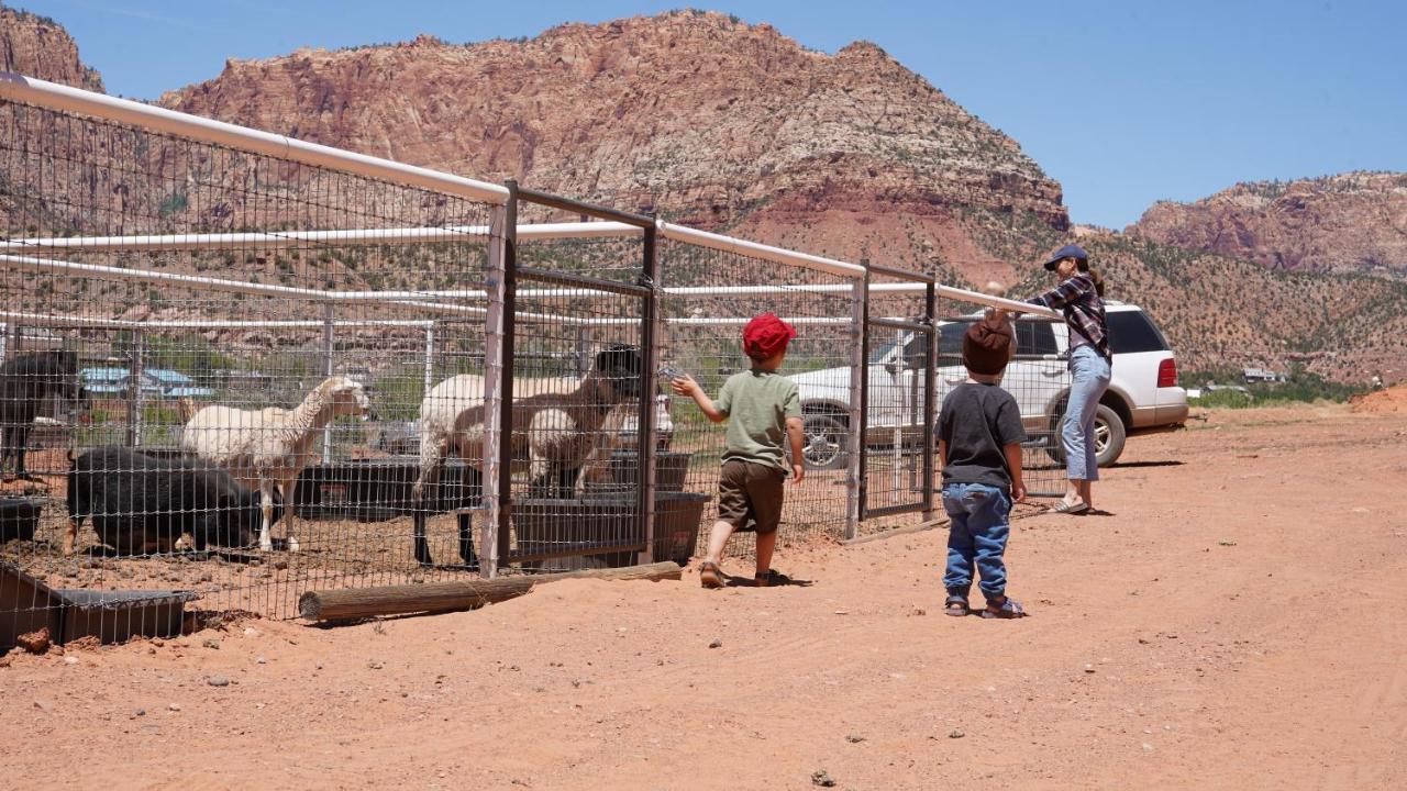 Zion View Camping Hildale Eksteriør bilde